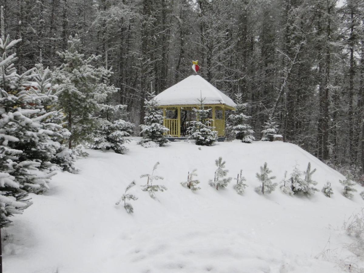 La Maison Sous Les Arbres Saint Roch de Mekinac Buitenkant foto