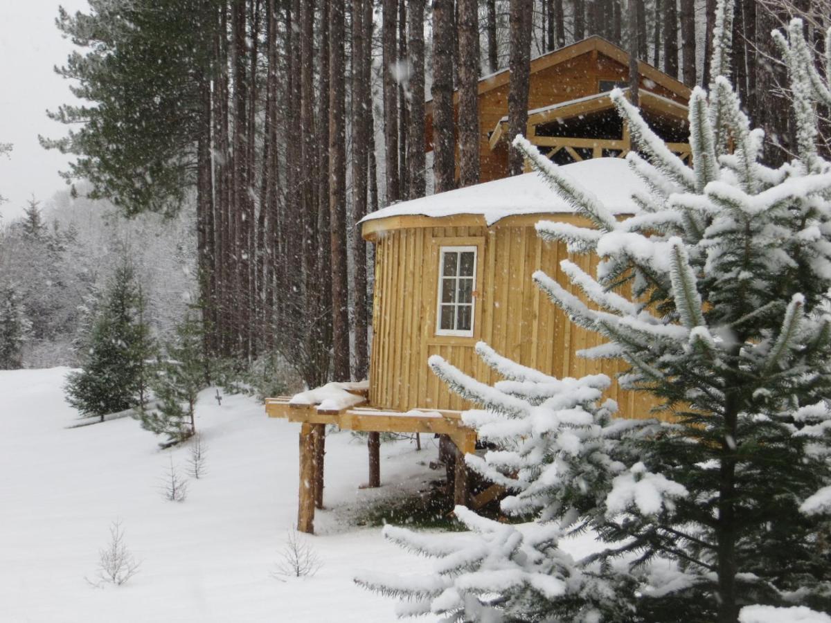 La Maison Sous Les Arbres Saint Roch de Mekinac Buitenkant foto